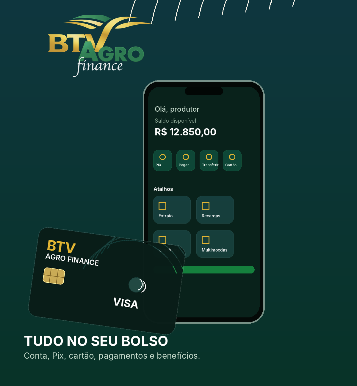 Mock do aplicativo BTV AGRO FINANCE